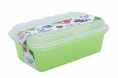 Set of containers for freezing "Zip mix" 1/2 , kiwi